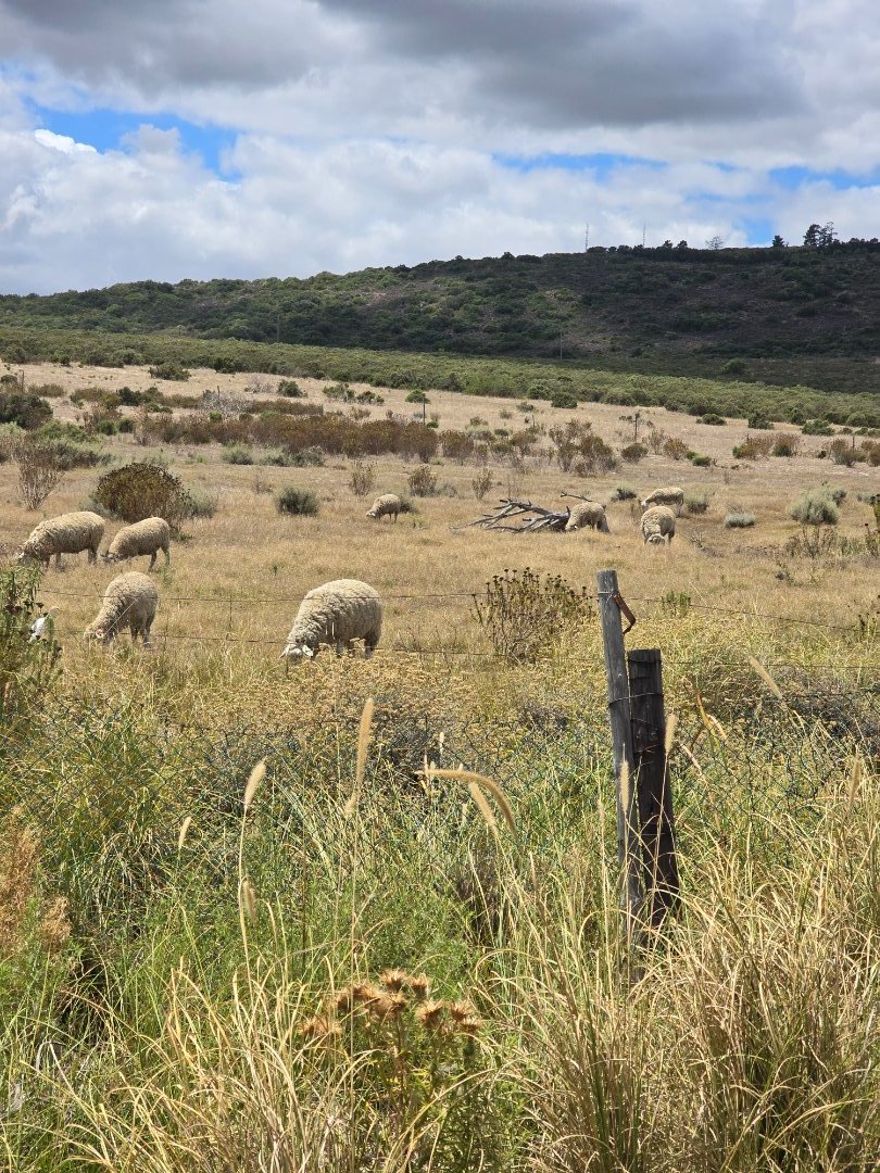3 Bedroom Property for Sale in Stellenbosch Farms Western Cape